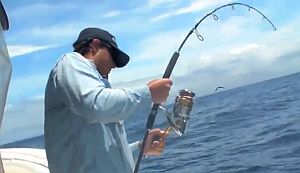 VIDEO: Vanuatu dogtooth & GTs!